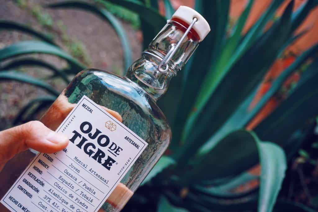 empresas de mezcal