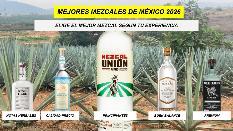 mejores mezcales de mexico 2026 ranking