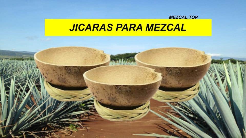 Juego de 3 jícaras mezcaleras con aros de carrizo