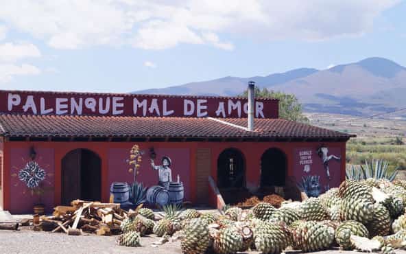 de donde es originario el mezcal