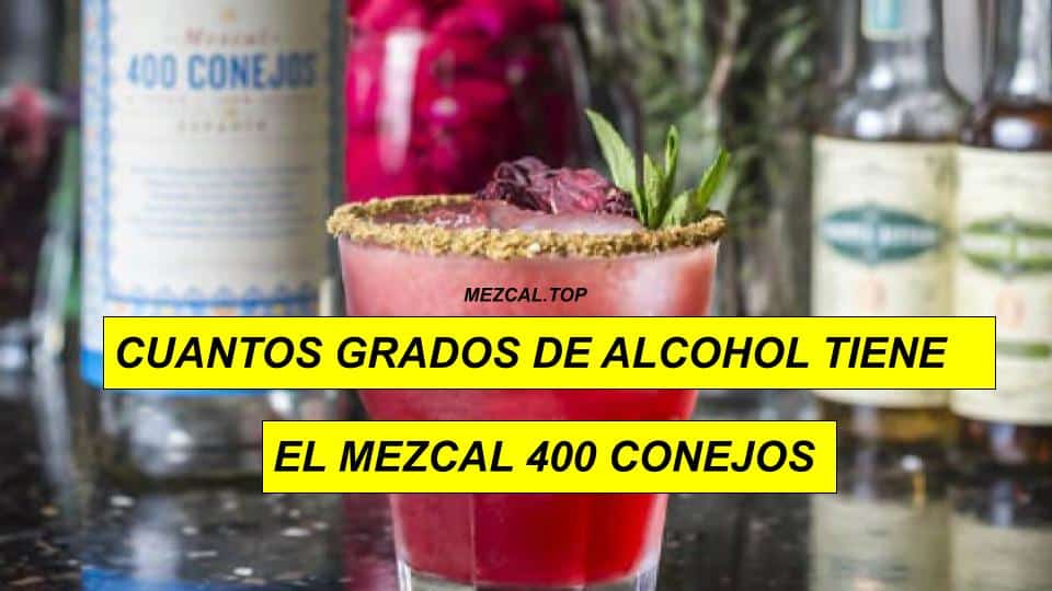 CUANTOS GRADOS DE ALCOHOL TIENE EL MEZCAL 400 CONEJOS