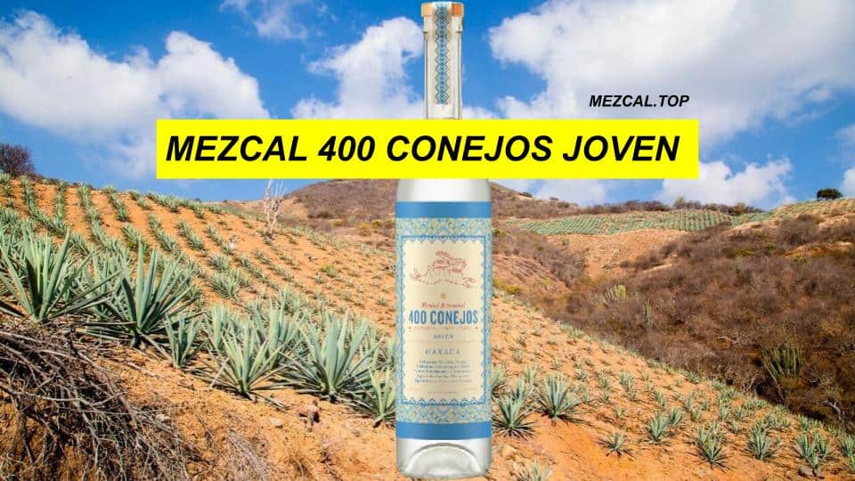 Mezcal 400 Conejos Joven