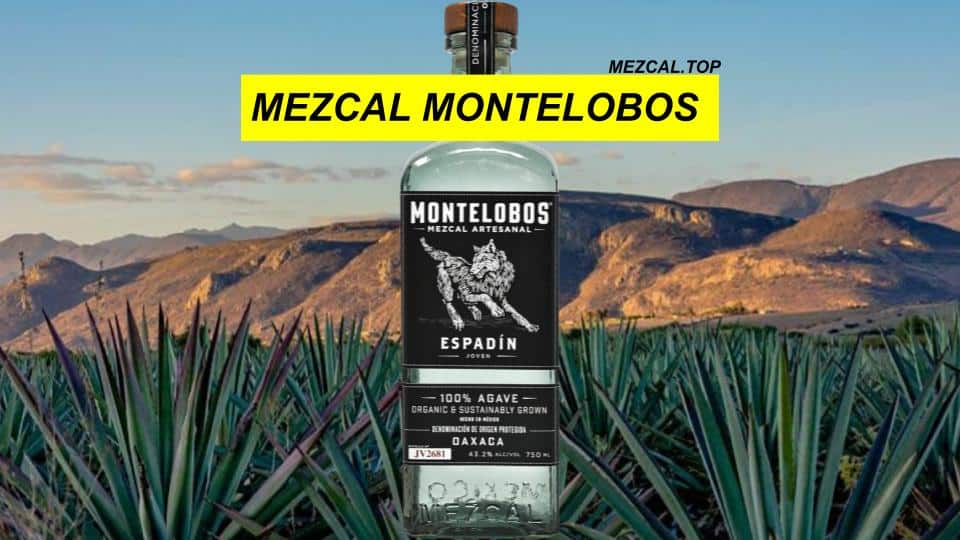 mezcal montelobos