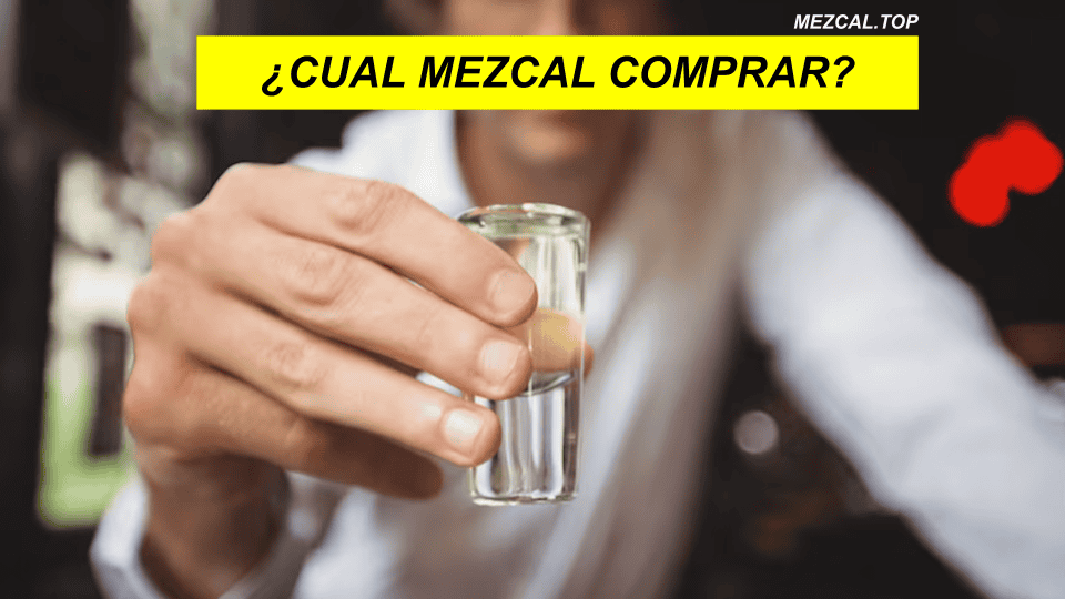 CUAL MEZCAL COMPRAR
