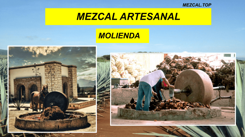 mezcal artesanal 400 conejos