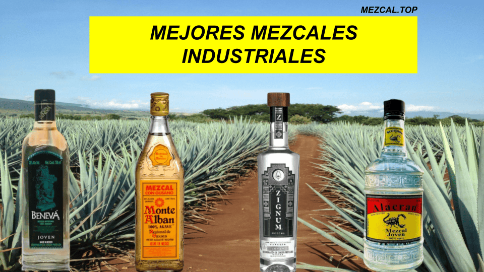 MEJORES MEZCALES INDUSTRIALES