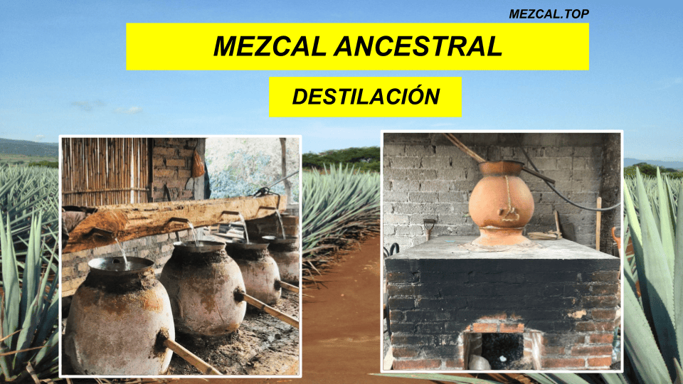 MEZCAL ANCESTRAL DESTILACION