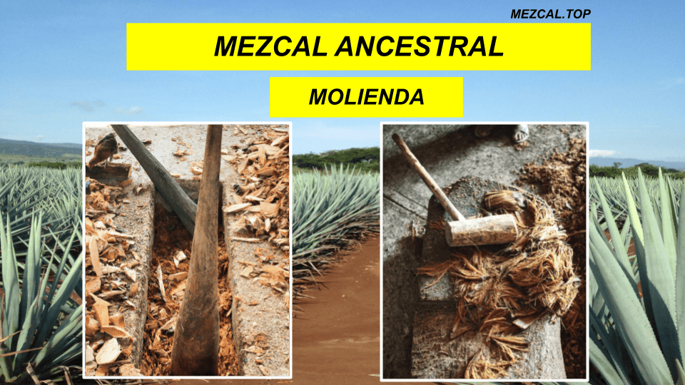 MEZCAL ANCESTRAL MOLIENDA