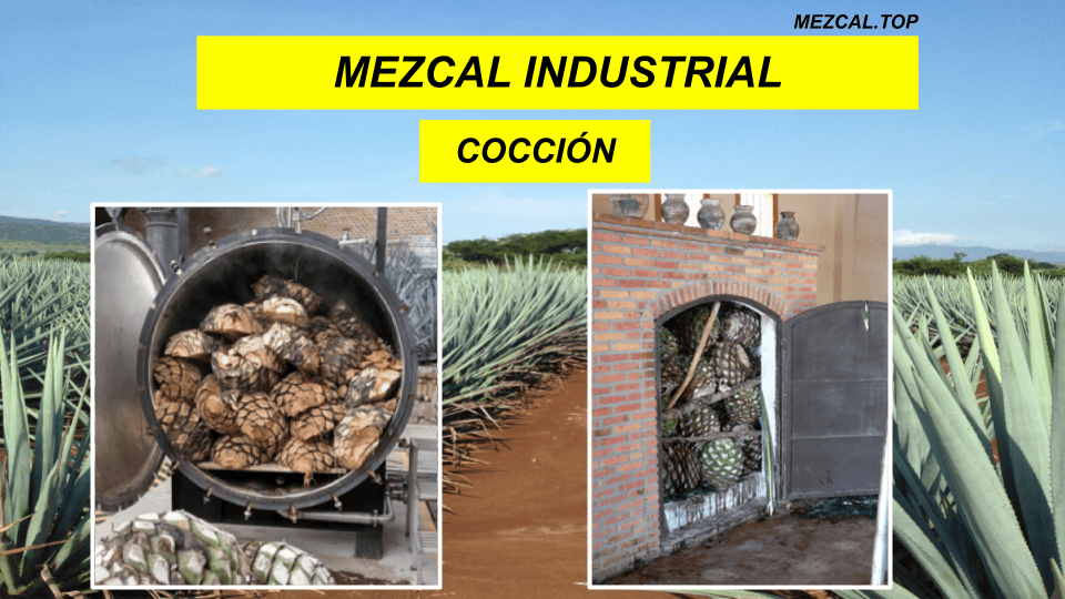 MEZCAL INDUSTRIAL COCCION