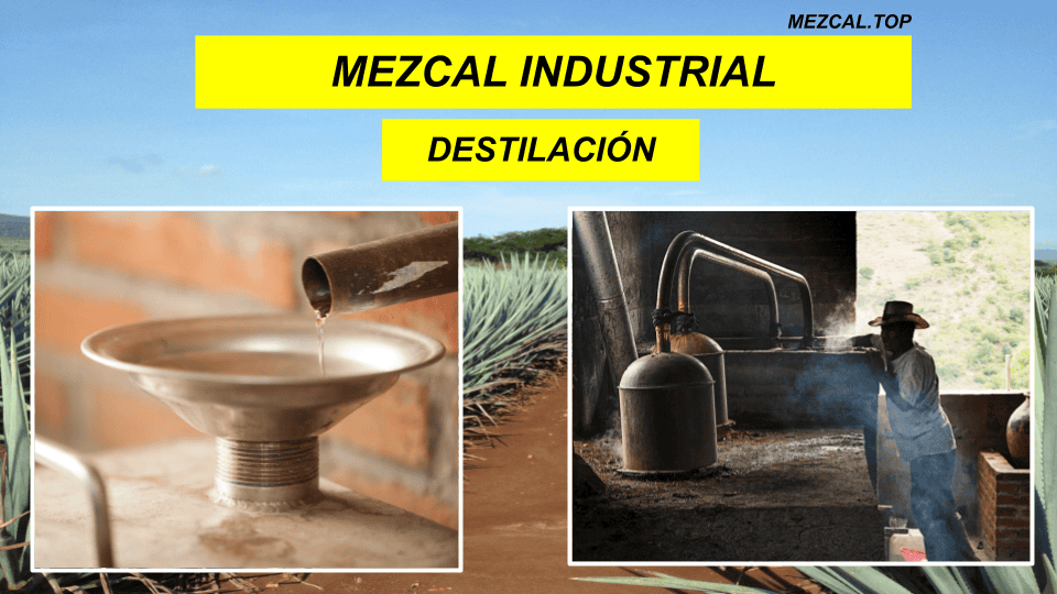 MEZCAL INDUSTRIAL DESTILACION