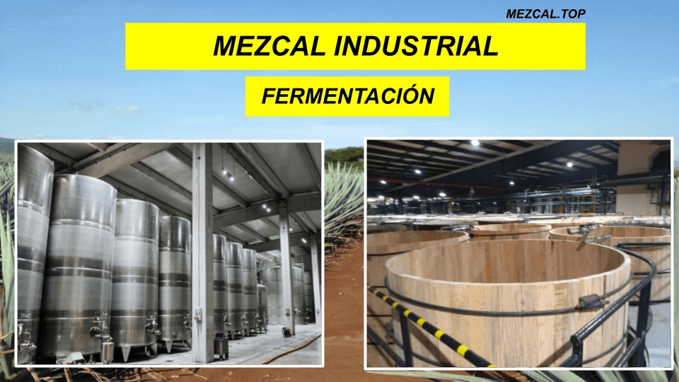 MEZCAL INDUSTRIAL FERMENTACION