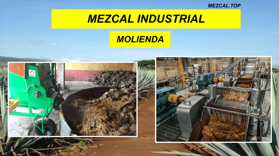 MEZCAL INDUSTRIAL MOLIENDA