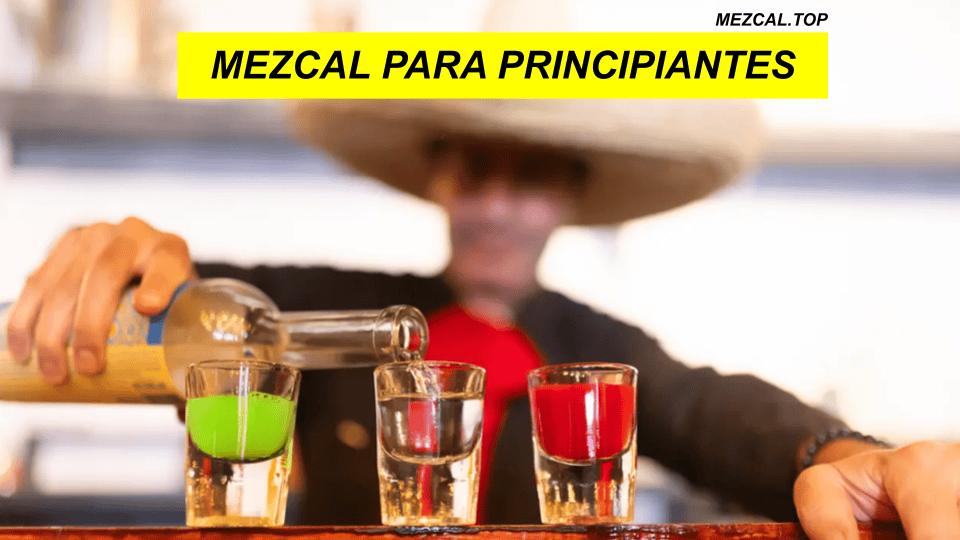 mezcal para principiantes