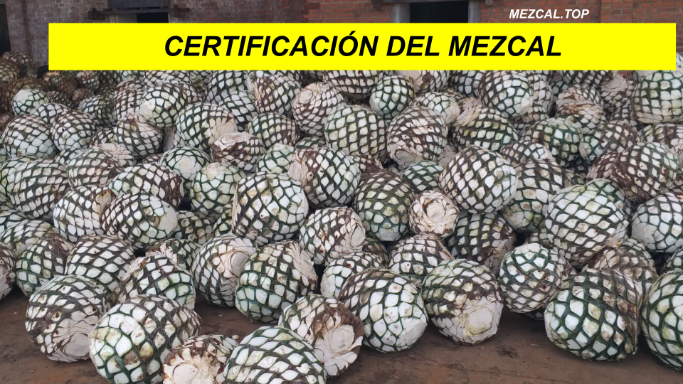 CERTIFICACION DEL MEZCAL
