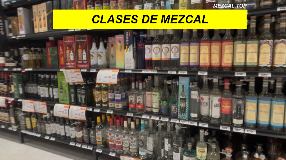 CLASES DE MEZCAL