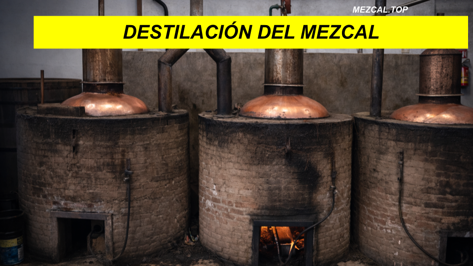 DESTILACION DEL MEZCAL