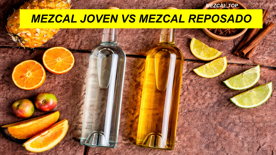 MEZCAL JOVEN VS MEZCAL REPOSADO