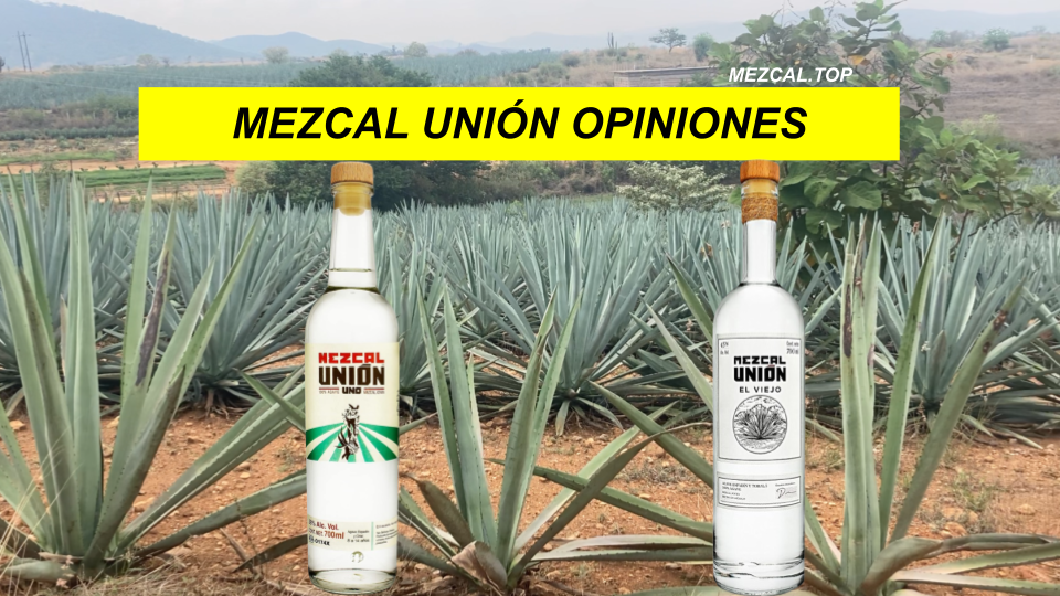 Mezcal Union Opiniones