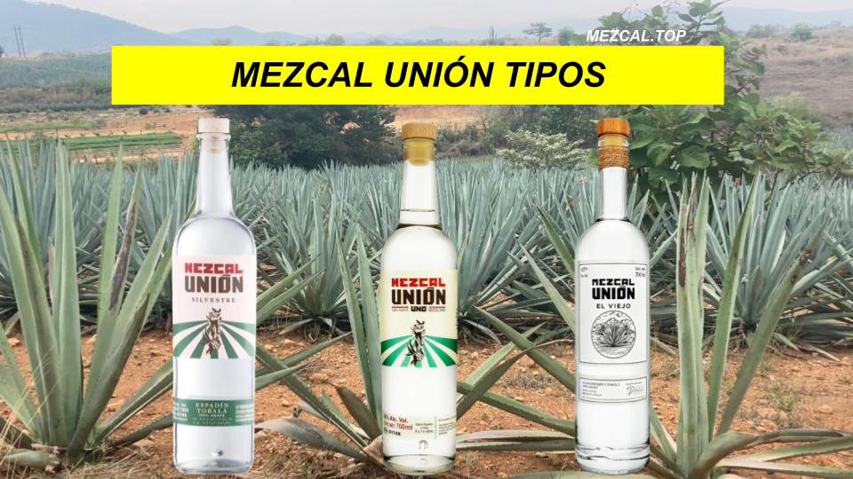 Mezcal Union Tipos