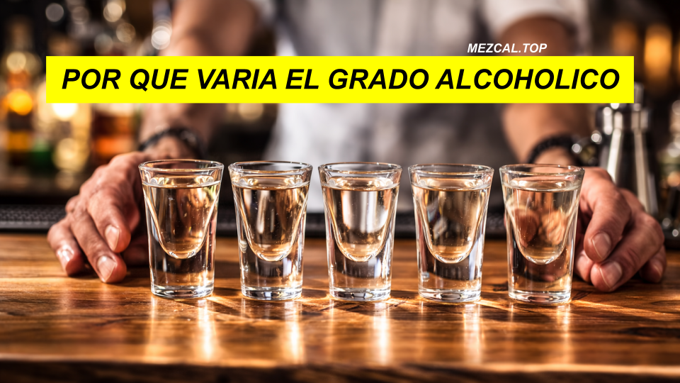 POR QUE VARIA EL GRADO ALCOHOLICO DEL MEZCAL