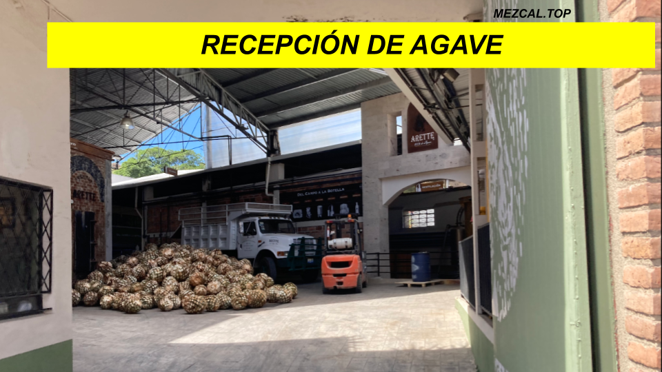 recepcion de agave