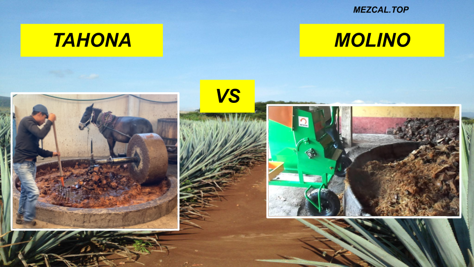 tahona vs molino
