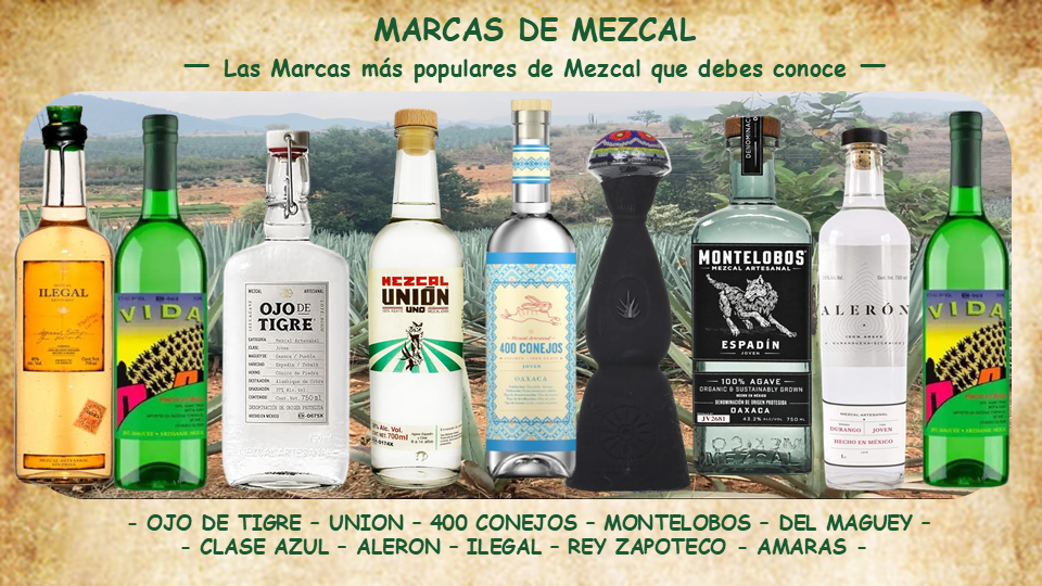 TODAS LAS MEJORES MARCAS DE MEZCAL DE ES 2026 SABOR SUAVE CALIDAD PRECIO