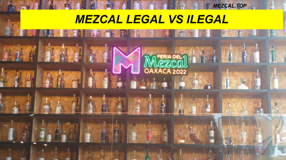 MEZCAL LEGAL VS ILEGAL
