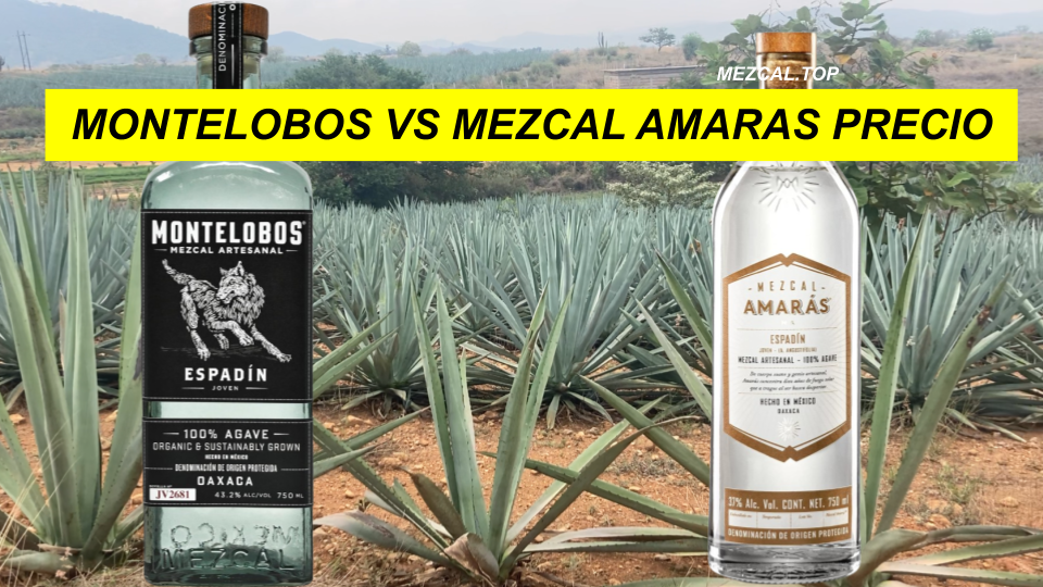 Mezcal Montelobos vs Amaras Precio
