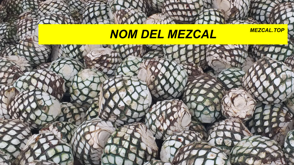 NOM DEL MEZCAL