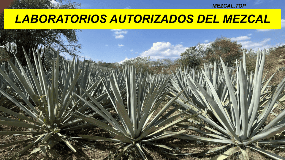 LABORATORIOS AUTORIZADOS DEL MEZCAL