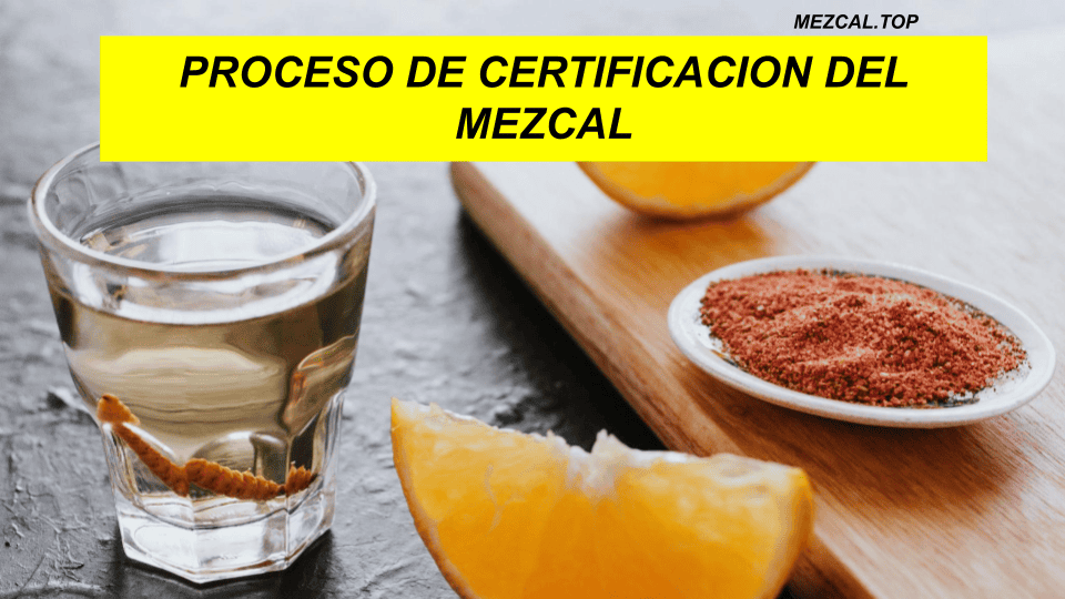 PROCESO DE CERTIFICACION DEL MEZCAL
