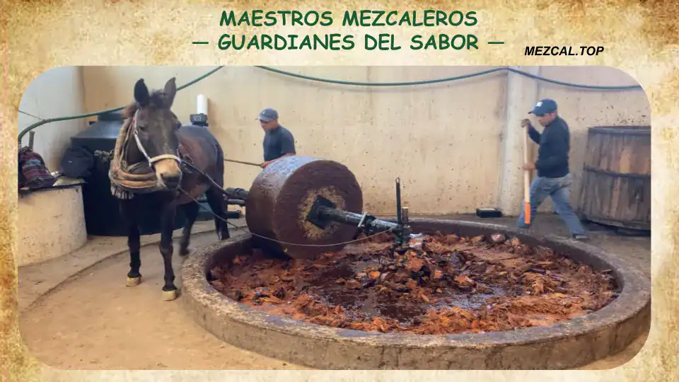 Maestro mezcalero tradicional de Oaxaca verificando el perlado del destilado artesanal con venenciador